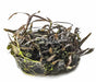 Ecoscape Hygrophila Araguaia - In Vitro - Aquariumplanten