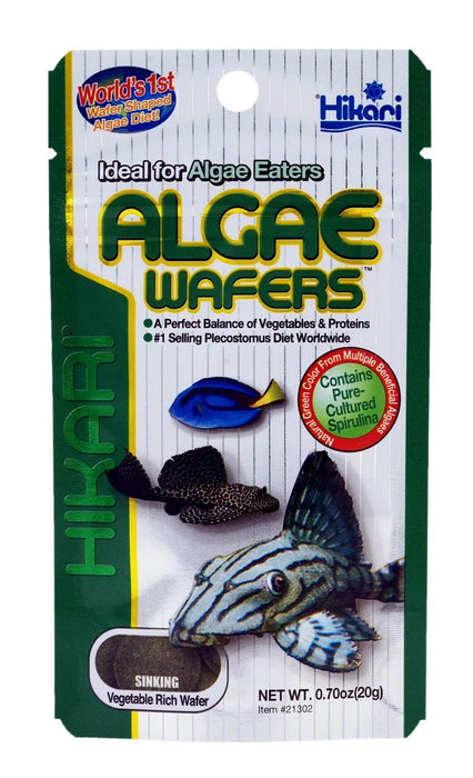 Hikari Algae Wafers