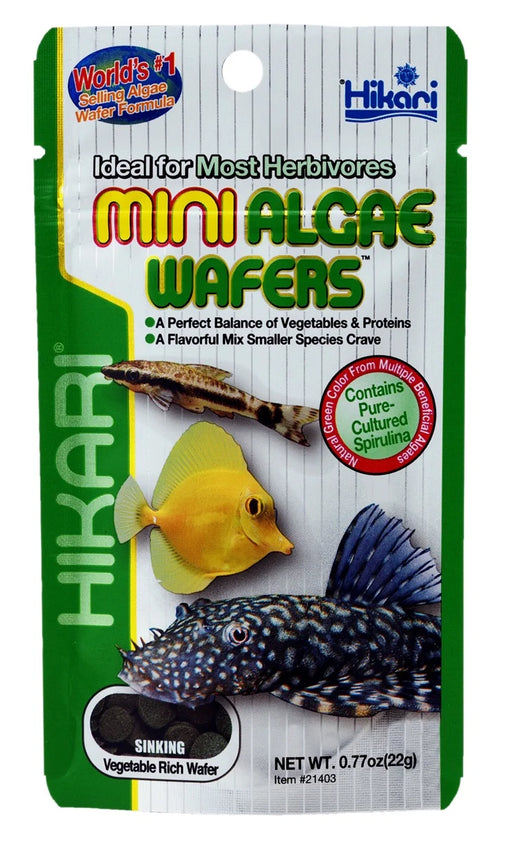 Hikari Mini Algae Wafers 22 gram - Aquarium Visvoer