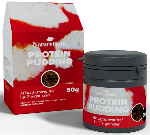 NatureHolic Protein Pudding