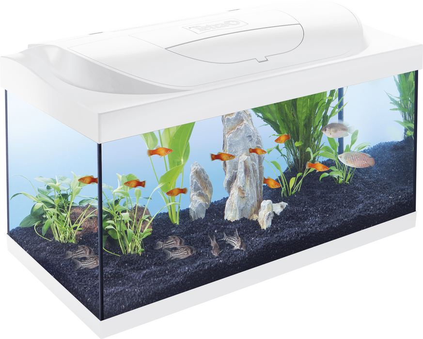 Tetra Aquarium Starterline 54L Wit