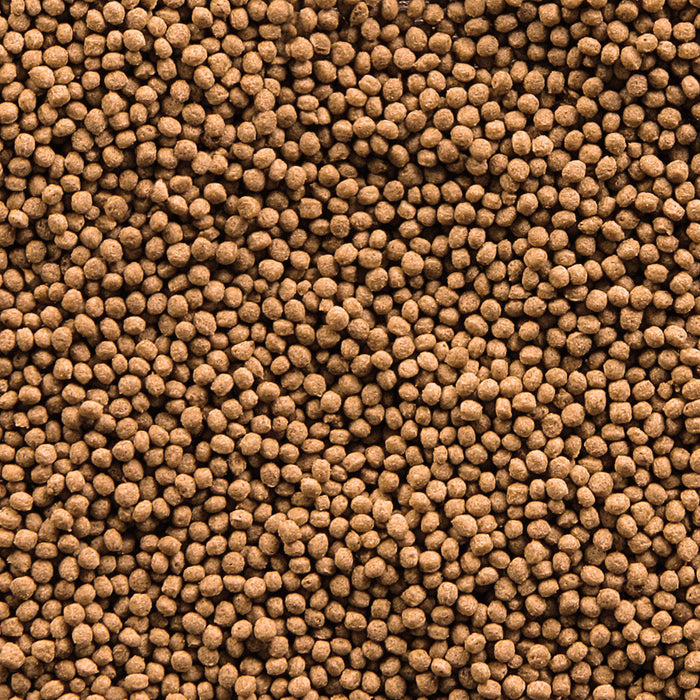 sera Goldfish Granules - Vissenvoer