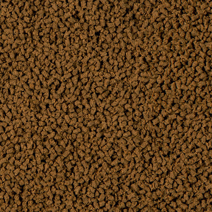 Sera Insect Granules