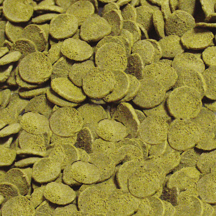 Sera Wels-Chips Nature